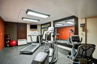 Hampton Inn Norfolk-Naval Base - salle de sport