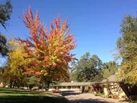 Queen's Inn by the River Hotel a Oakhurst