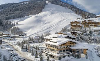 Suite fur Bis zu 4 P & Wellnessbereich