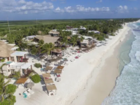 La Zebra Tulum, a Small Luxury Hotel トゥルムのホテル