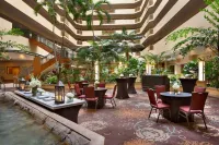 Embassy Suites by Hilton Tampa USF Near Busch Gardens Hotels in Temple Terrace