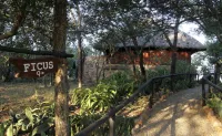 Shayamoya Lodge Hôtels à : UPhongolo