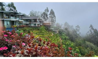 Chandys Drizzle Drops - Munnar Top Station