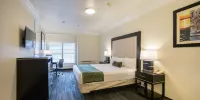 Arena Hotel - Deluxe King Room