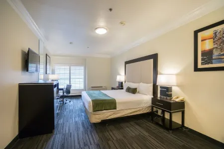 Arena Hotel