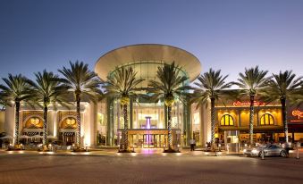 SpringHill Suites Orlando at Millenia