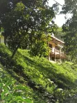 Kimakia Tea Cottages Hotel di Aberdare Forest