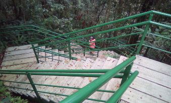 Hotel Cabinas y Tour Aaron Tortuguero - Housity