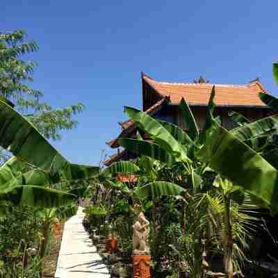 Mahogany Cottage Hotel Exterior