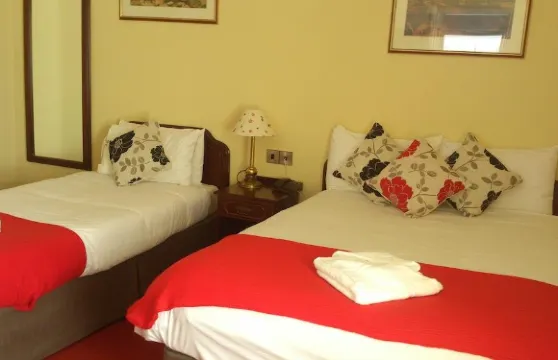 蒙斯特武器酒店