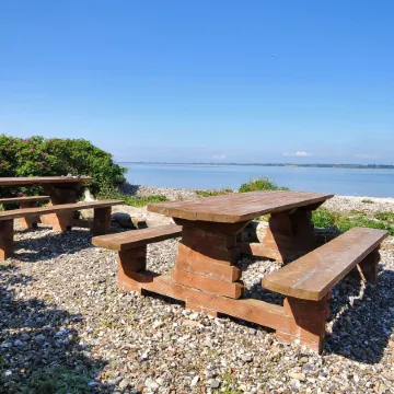 "Eloise" - 50m to the Fjord