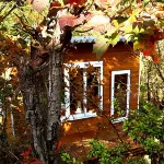 Small Hotel Starting over Hotels in Fujikawaguchiko