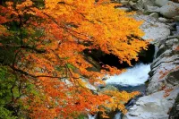 guangwushanzhen Fulinju Inn Hotel a Nanjiang