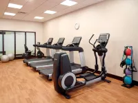 阿靈頓法院凱悦嘉軒酒店 - 健身室/gym room