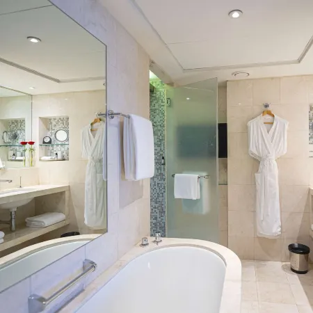 Hyatt Regency Dubai