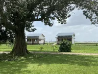 Koffiemama Tree B&B Hotels in 