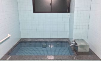 Business Hotel Irieso