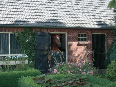 Erve Het Roolvink Boerderij Appartementen 40-50 M2