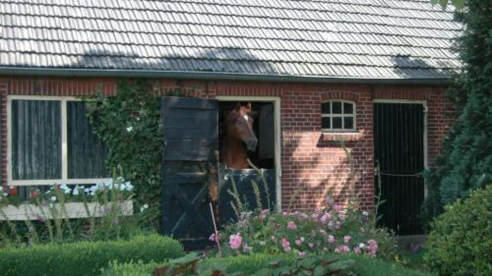 Erve Het Roolvink Boerderij Appartementen 40-50 M2