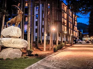 Kashmir Wellness & Spa Hotel Adults Only