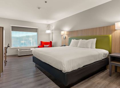 컨트리 인 & 스위트 바이 래디슨 애슈빌 앳 애슈빌 아웃렛 몰 NC