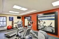 Hampton Inn Albany-Wolf Road (Airport) - Gym
