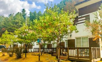 Yangpyeong Haneulbit Pension