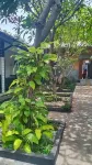 Gili Guest House Hotels in Lombok