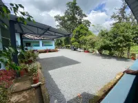 Ward80 Hotels in Pinangode
