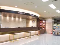 Tokyo Daiichi Hotel Shinshirakawa Hotel a Tanagura