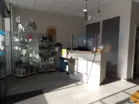 베스트 웨스턴 르 뒤게클랭