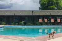 Dinosaur Inn & Suites