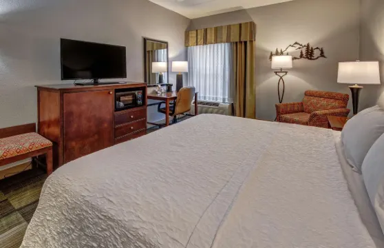 希爾頓歡朋套房酒店-鴿子谷音樂路