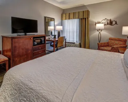 ハンプトン イン & スイーツ ピジョン フォージ オン ザ パークウェイ ピジョン・フォージのホテル