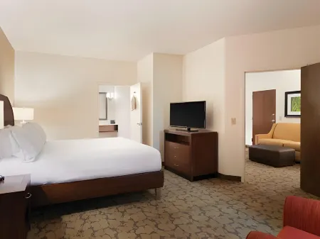 Hilton Garden Inn Rochester-Downtown