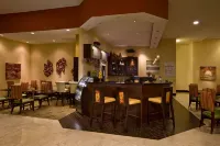 佈雷登頓薩拉索塔/河濱萬怡酒店 - 酒吧
