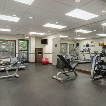 Comfort Inn & Suites Dahlonega University Area
