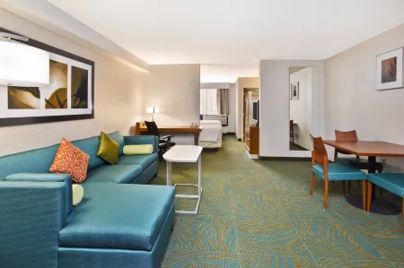 SpringHill Suites Chicago Elmhurst/Oakbrook Area Отели в г. Аддисон