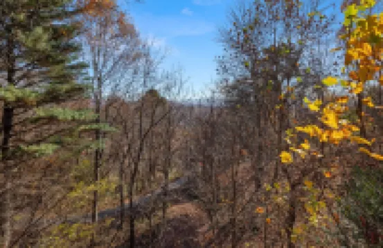 Stylish, secluded cabin minutes from the Biltmore and downtown