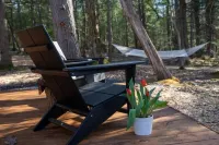 Container Cabin in the Catskills [Forest]