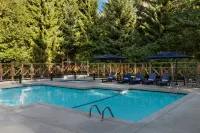 Delta Hotels Whistler Village Suites - Pools
