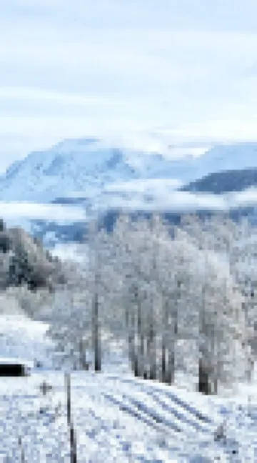Appartement Dans un Chalet à la Montagne Avec Très Belle vue sur le Mont-blanc 阿爾利河畔普拉茲酒店