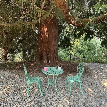 Chateau du mont Rainier - a basement apartment w a view of Mt Rainier & hot tub