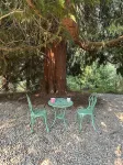 Chateau du mont Rainier - a basement apartment w a view of Mt Rainier & hot tub 펜넬 크릭 트레일 헤드 주변 호텔