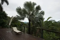 Luxury rainforest eyrie with panoramic views