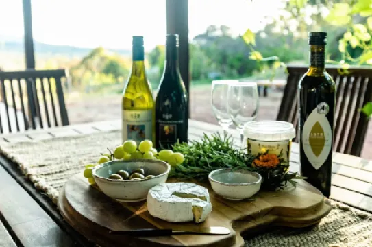 Jamaicaville - 90 Acre hilltop off-grid eco-home with awesome views