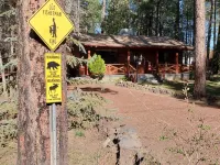 Comfy Cozy Forest Home/ Rainbow Lake Neighborhood