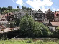 S-villa Apatment 50 im Schwarzwald Hotels in Schiltach