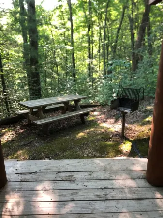 Timberwolf--Beautiful cabin near Big South Fork