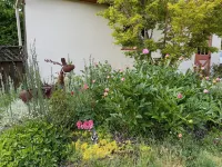 ShiShi's Cottage--Walk to OSU